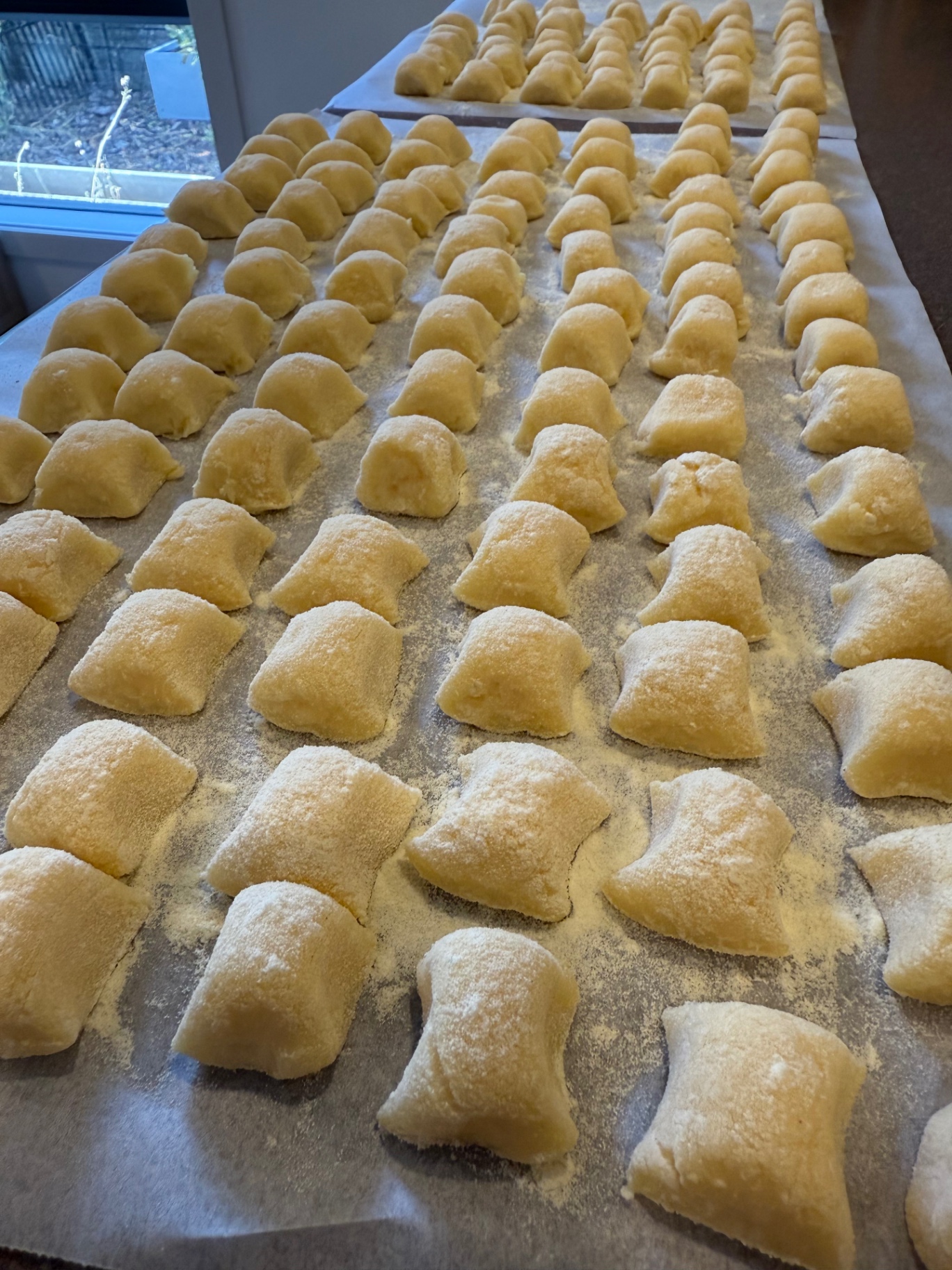 Potato gnocchi, rolled and dusted