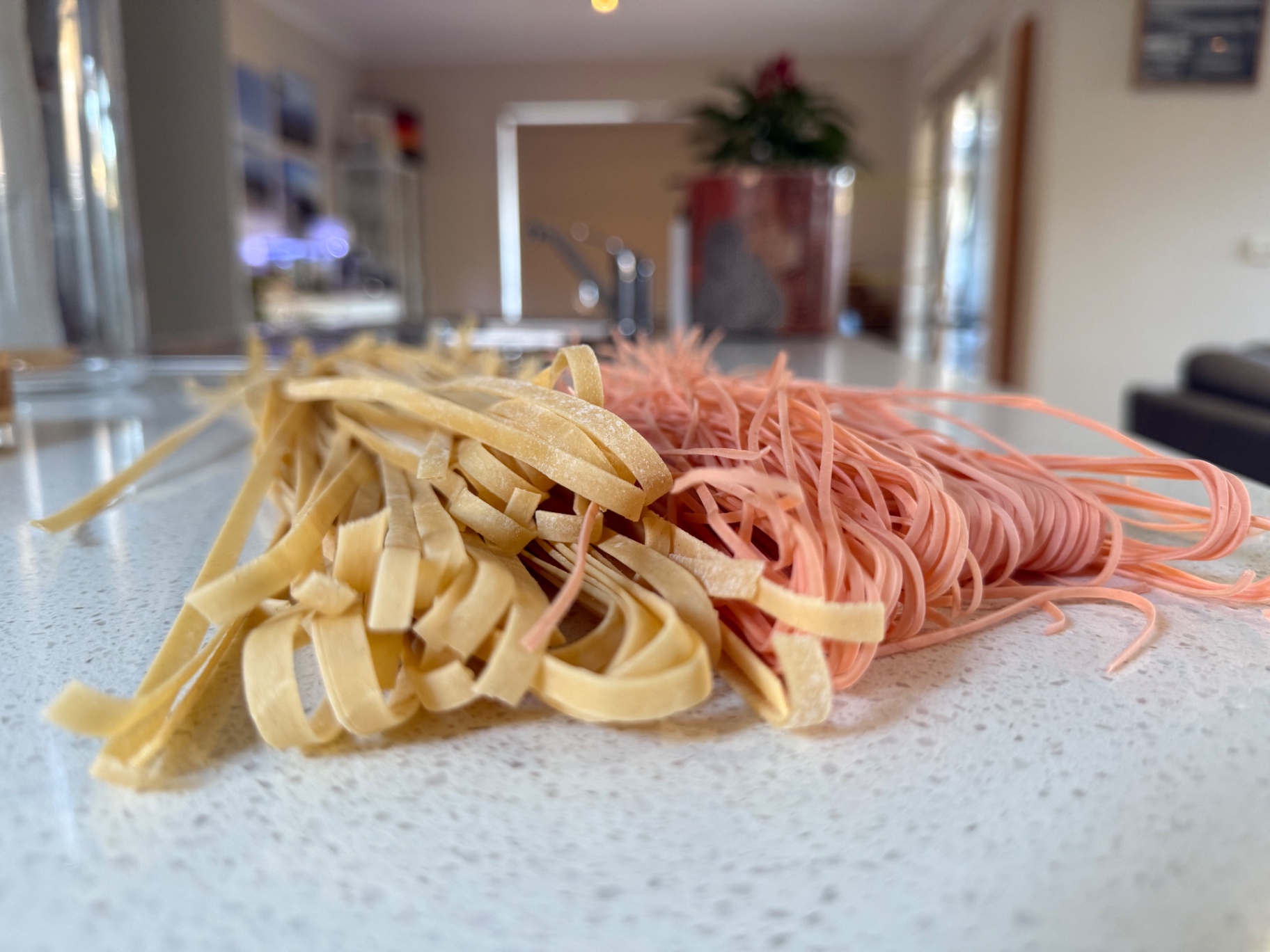 Fresh tagliatelle and beetroot tagliolini