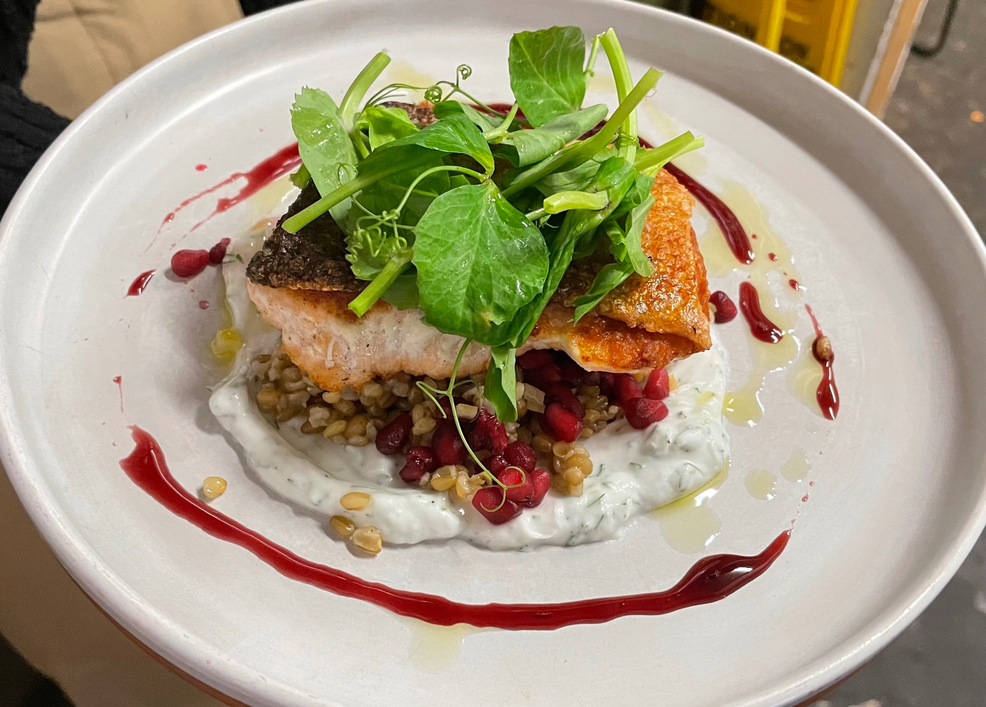 Crispy skin salmon, freekeh, pomegranate, herb yoghurt