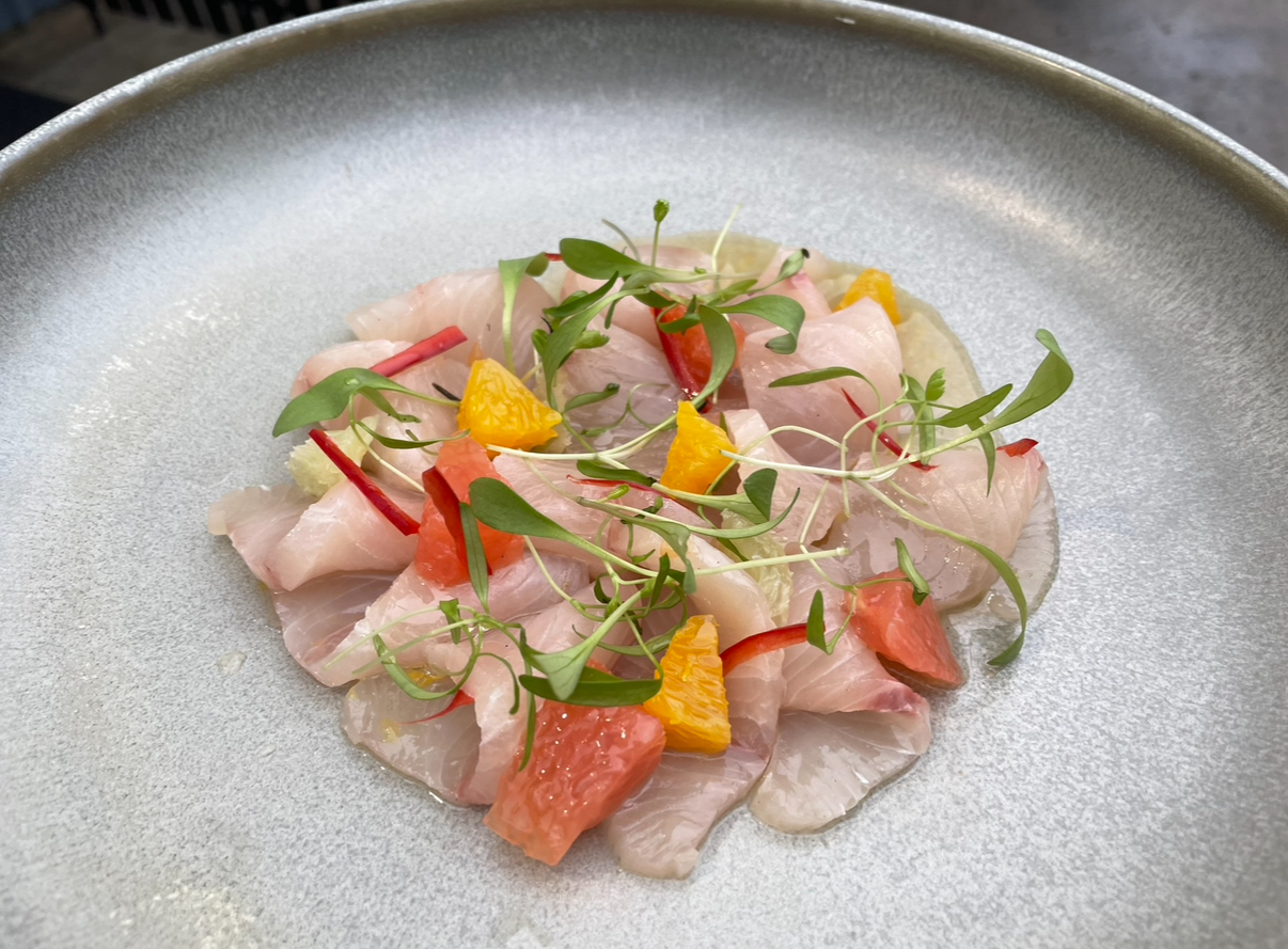 Kingfish crudo, mixed citrus, chilli